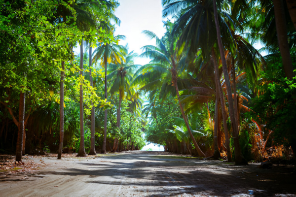 Scenic greeneries of Fulhadhoo island.