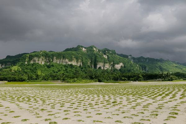 Places to Visit in Cox's Bazar - Teknaf