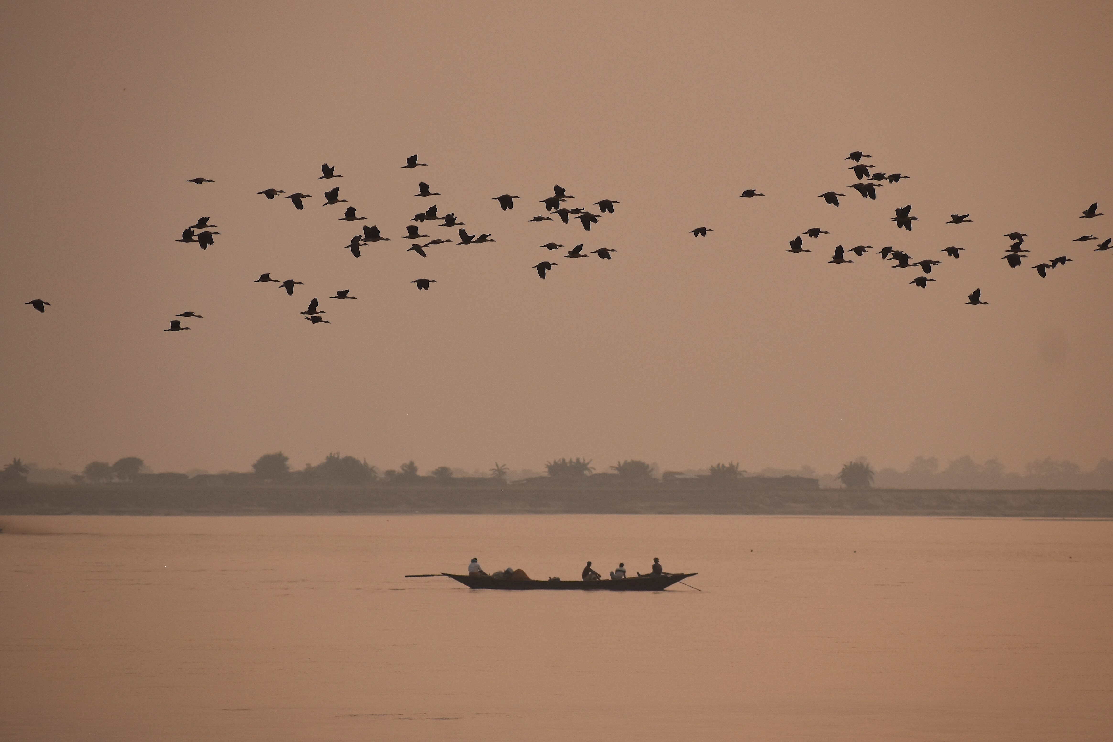 Padma River (Noubihar) - Otithi
