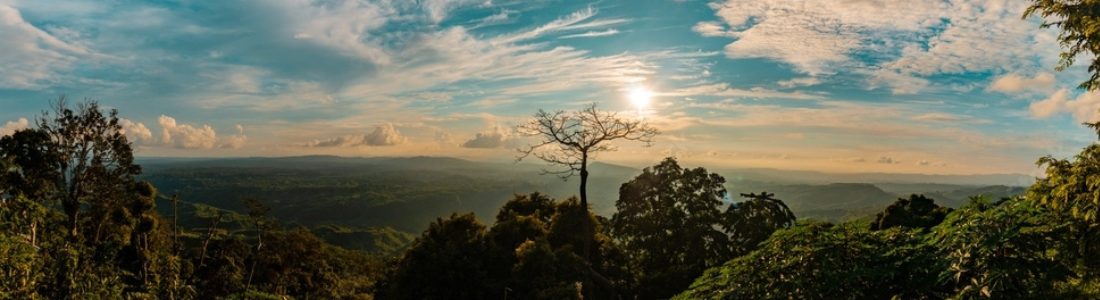 credits: adobe stock