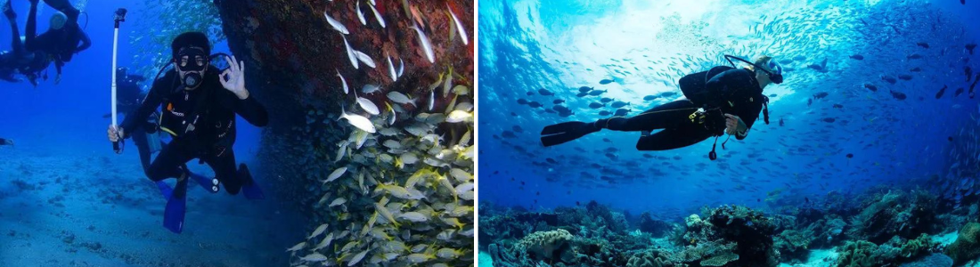 credits: veronikasadventure.com, traveloka.com