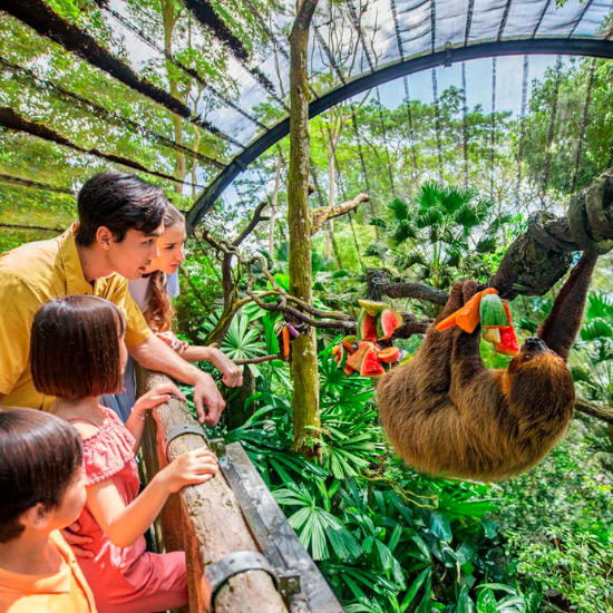 The Singapore Zoo, one of the top places to visit in Singapore. (credit: Yahoo)