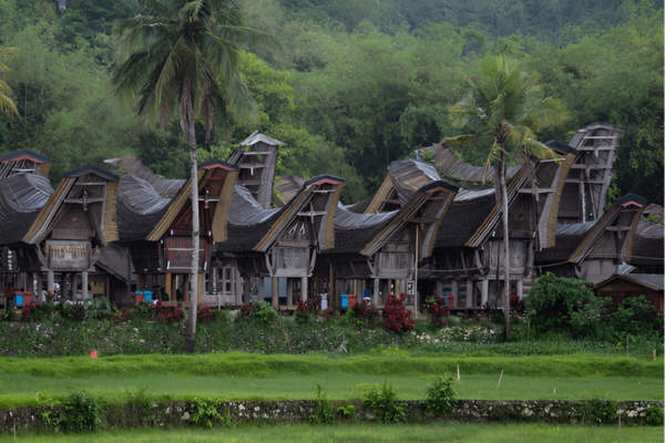 Tana Toraja is a unique cultural place.