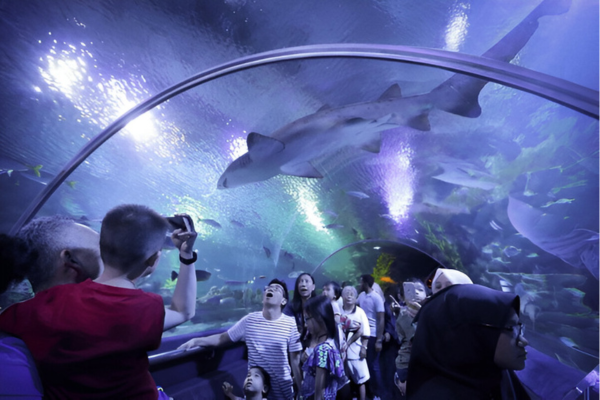 Aquaria KLCC attracts not only kids, but also sea life enthusiasts.