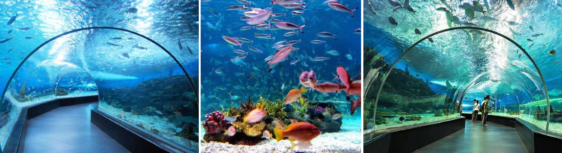 credits: tripadvisor