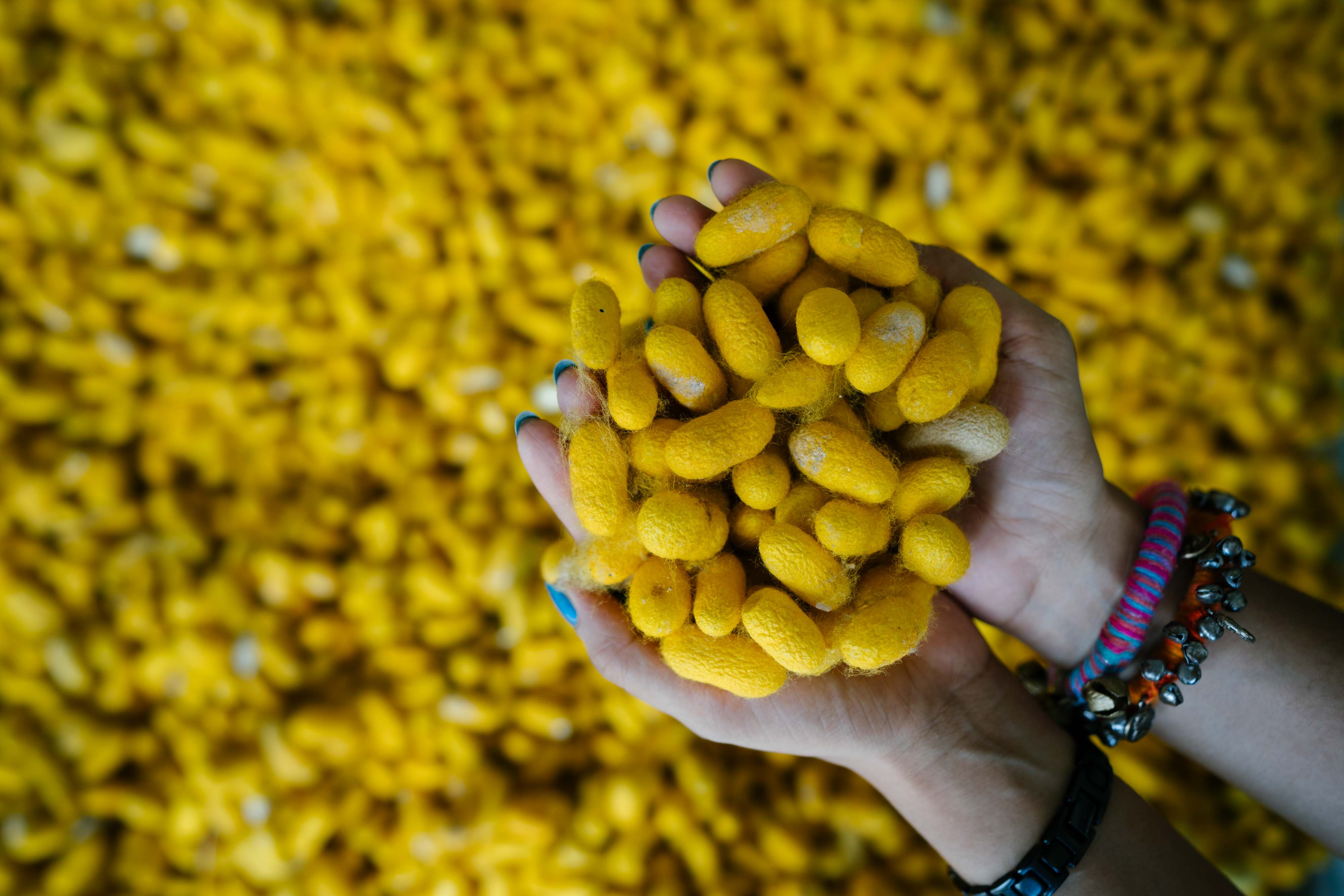 Sopura Silk Mill - Otithi