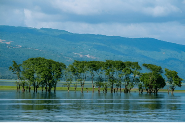 Tanguar Haor, another popular tourist destination in Bangladesh.