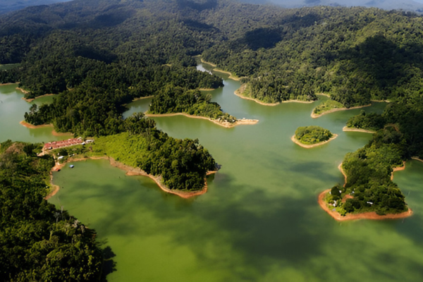 Perak has beaches, mountains, caves, and lots of greeneries.