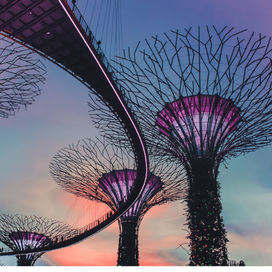 Gardens by the Bay, one of the top places to visit in Singapore.