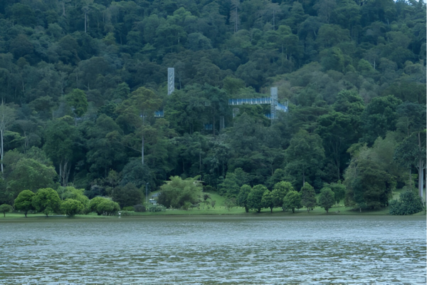 FRIM is a great outdoor tourist attraction in KL.