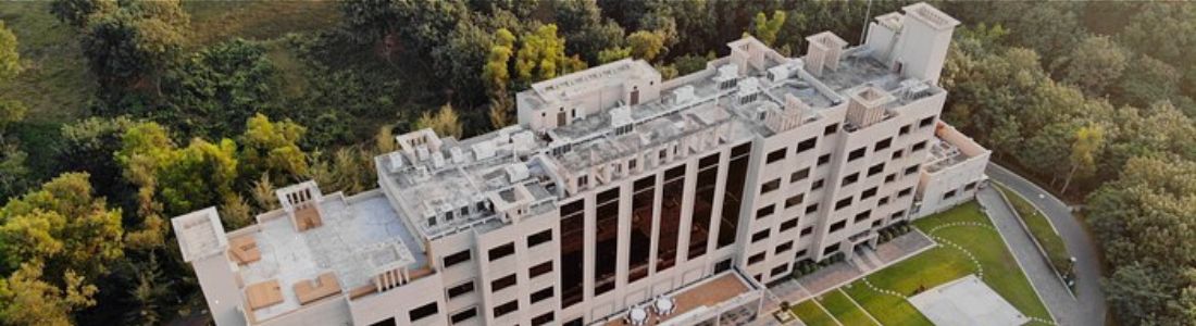 The Palace (upper view)