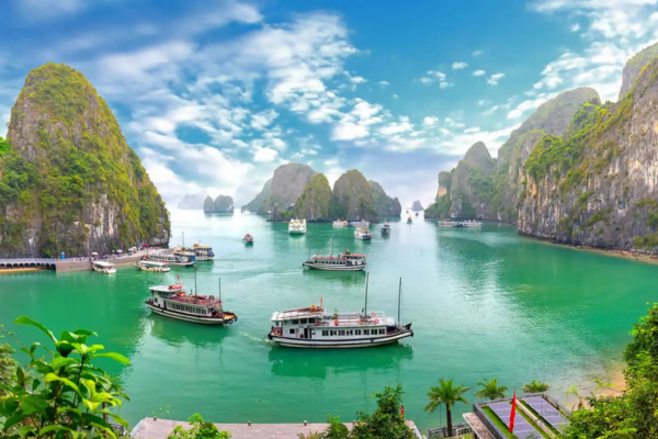 source: wendywutours (take a daytrip to HaLong Bay - things to do in Hanoi)