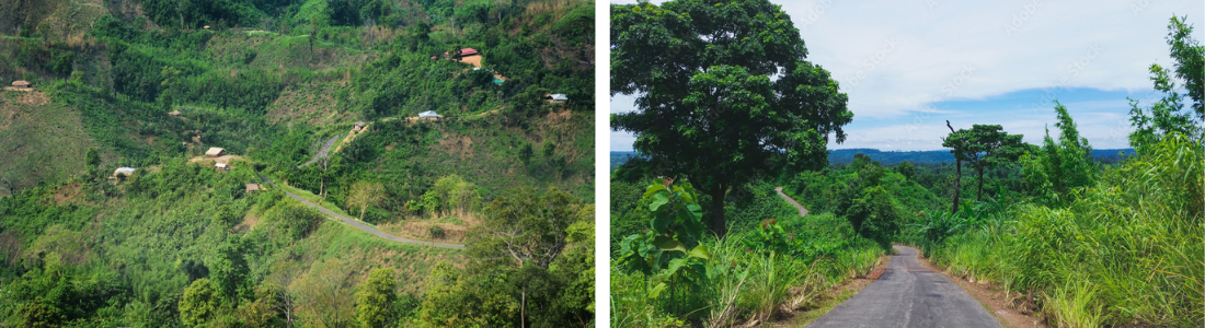 credits: adobe stock