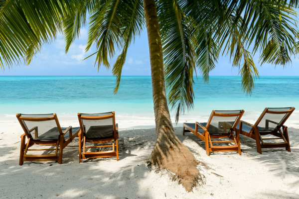 Sunbeds under the palm trees on Fehendhoo island.