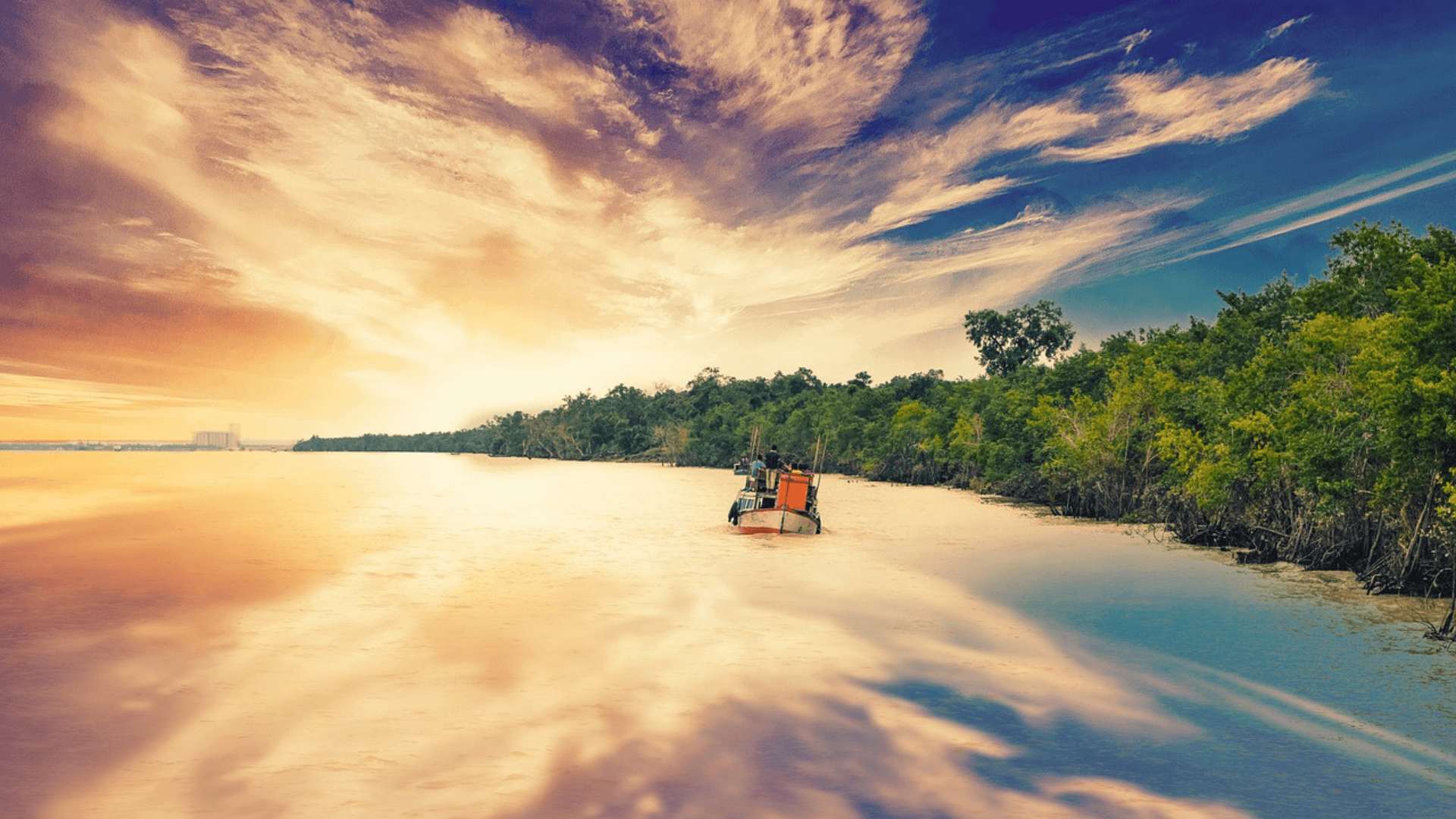 Sundarban The mysterious Mangrove Forest Travel Guide