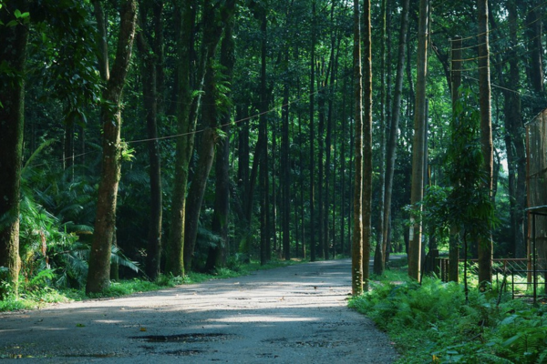 Tilagor Eco Park, a great outdoor natural spot in Sylhet.