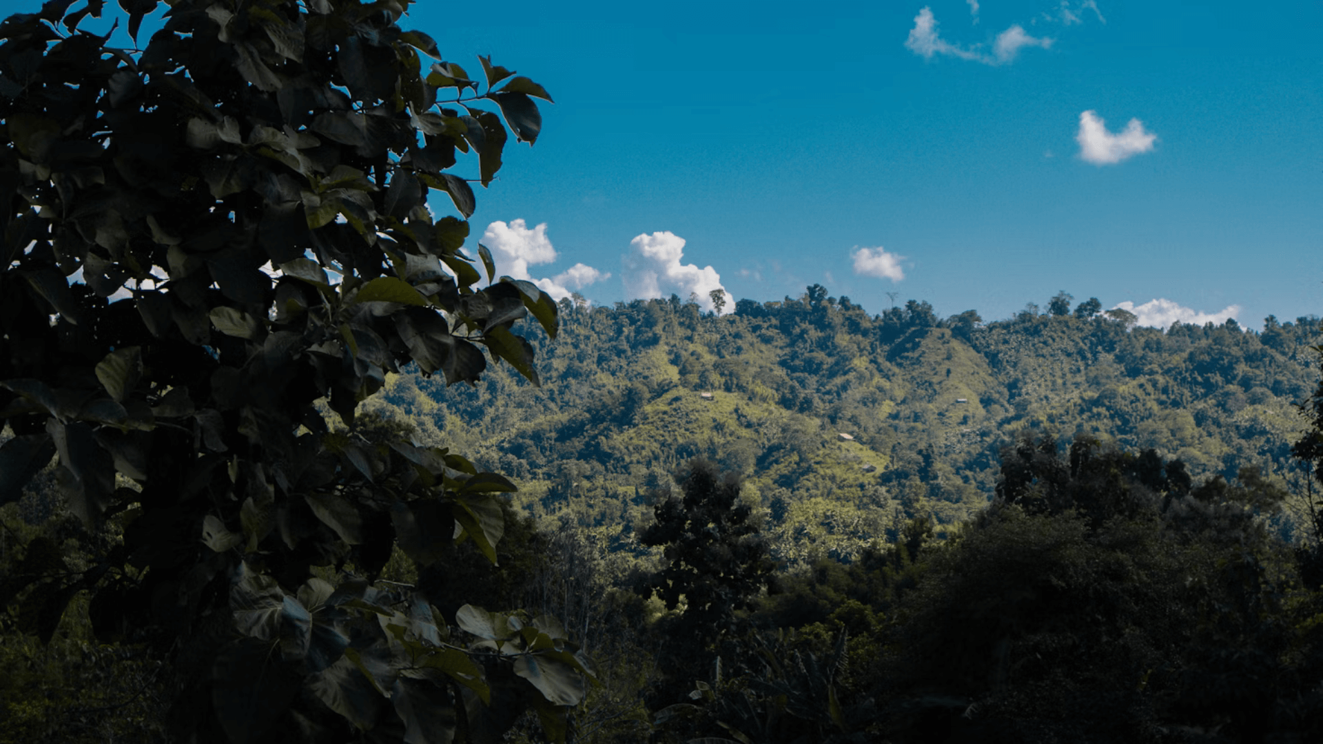 খাগড়াছাড়ির হোটেল এবং রিসোর্ট: জেনে নিন প্রয়োজনীয় কিছু তথ্য