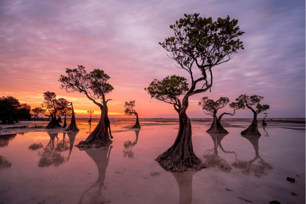 Lite Crimson and violate sky upon a beach of Sumba Island.