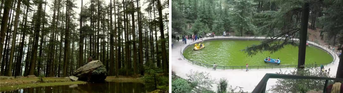 credits: manalionline.in, justdial.com