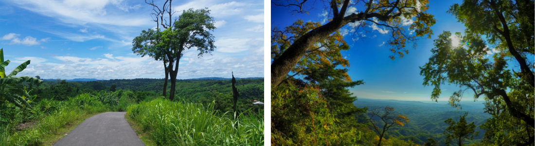 credits: istock, wikimedia