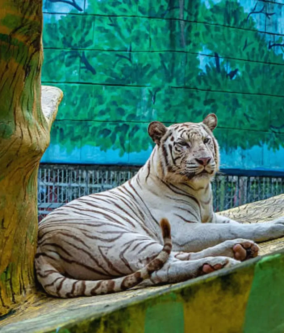 10 Best Places to Travel with Kids from Bangladesh in 2026